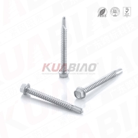 Hexagon washer compound drill tail